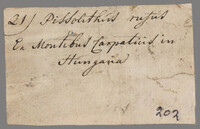 L 00154
<br/>
Label met opschrift
<br/>
<em></em>